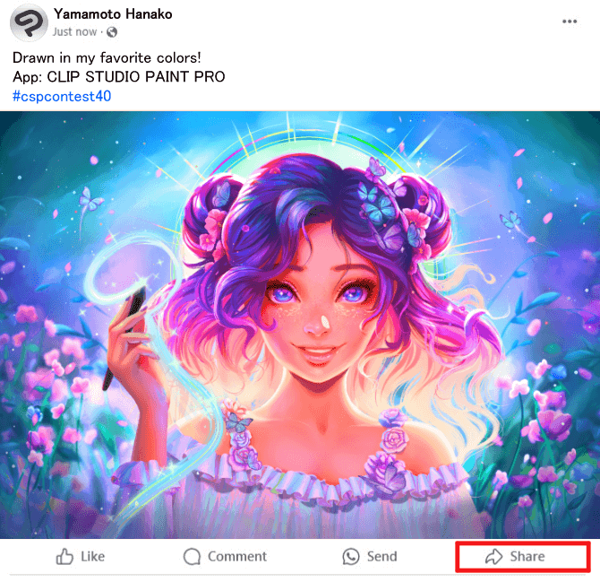 How to Apply Example of Facebook entry